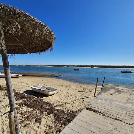 Royal T1 By Yha Tavira