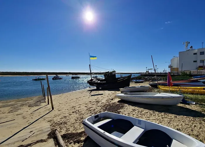 Royal T1 By Yha Tavira